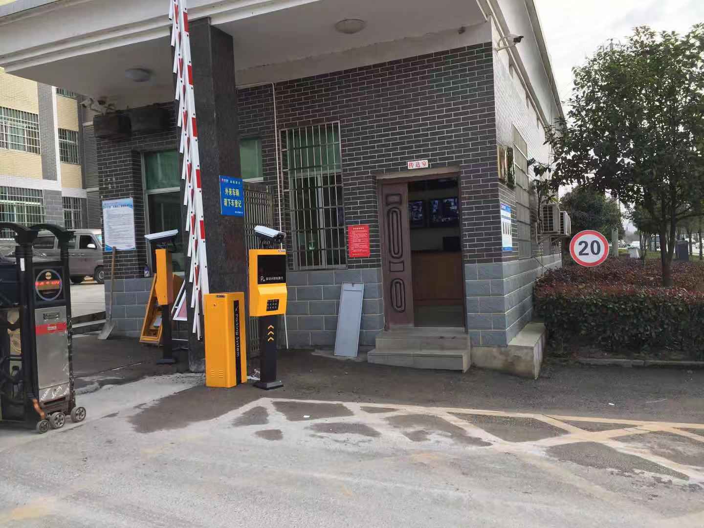 平江新金剛 平江新金剛