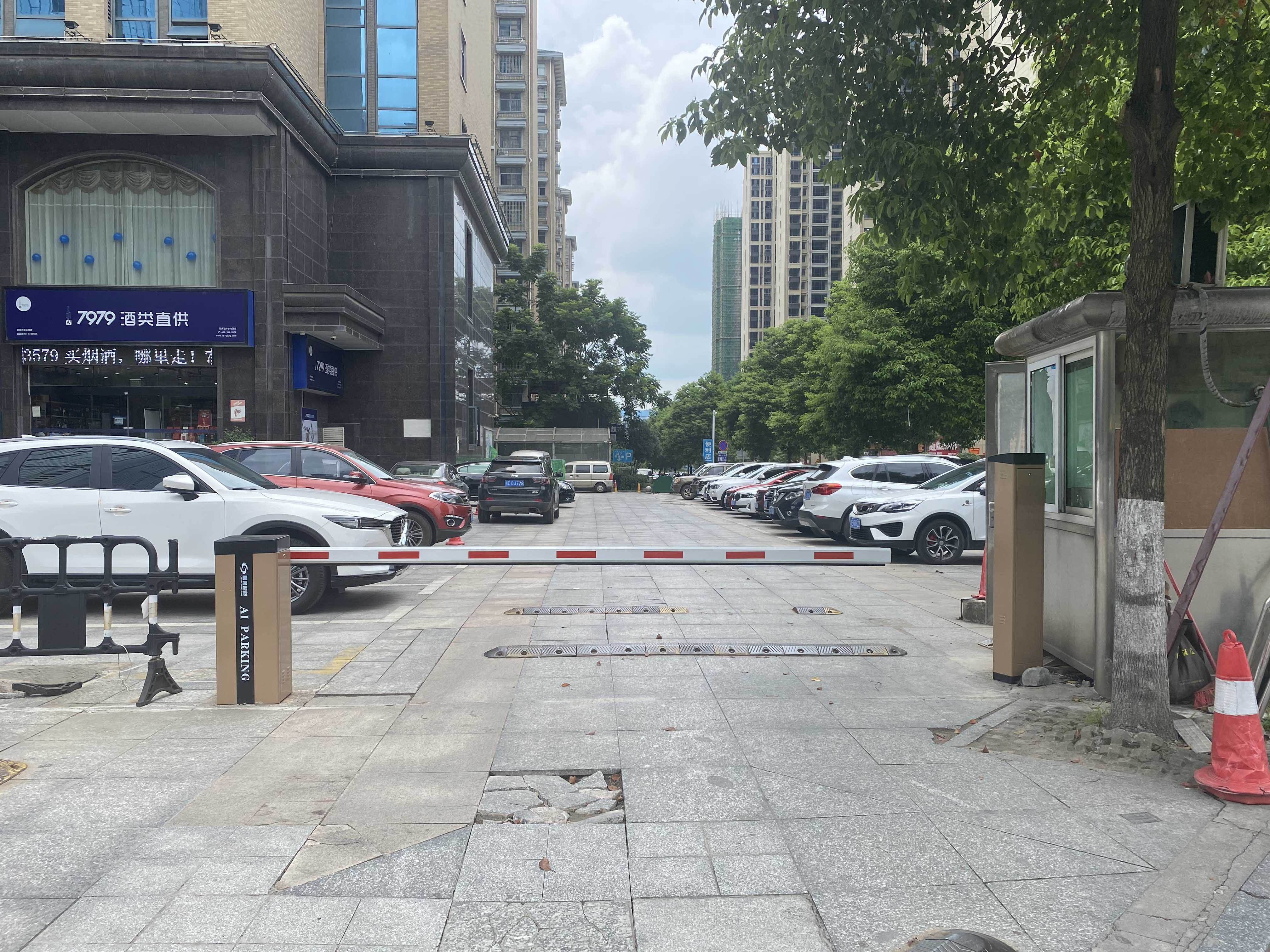 長沙雷隆智能科技有限公司,車牌識別系統(tǒng),停車收費(fèi)系統(tǒng),車牌識別一體機(jī),智能通道閘,湖南車牌識別道閘系統(tǒng),人行通道閘,智能道閘